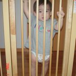 「中に入りたい人!?」「はーい!!」