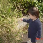 手触りは？