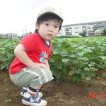 ユウタと枝豆畑