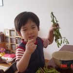 枝豆の茹で準備