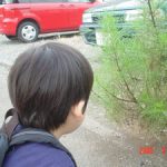 バッタ観察中