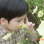 この花はいい香り♪
